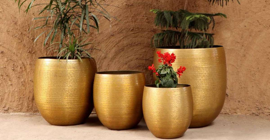 Flower pots & shelves