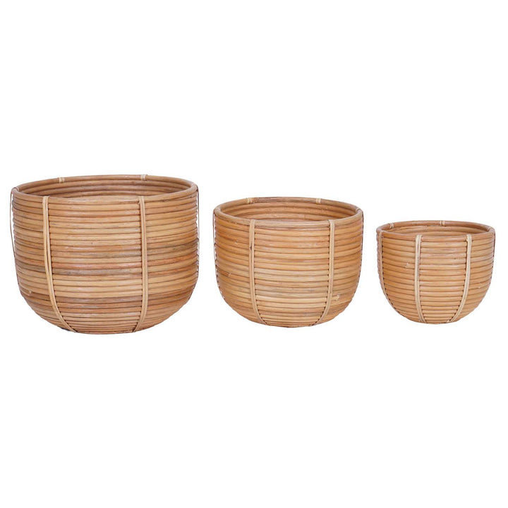 Rattan basket flower basket Cinta set of 3