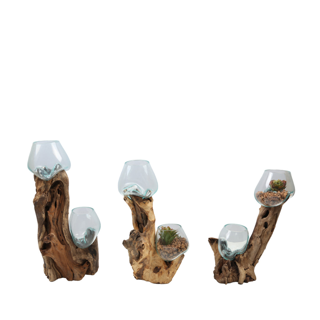 Double glass vase 15 cm on burl wood