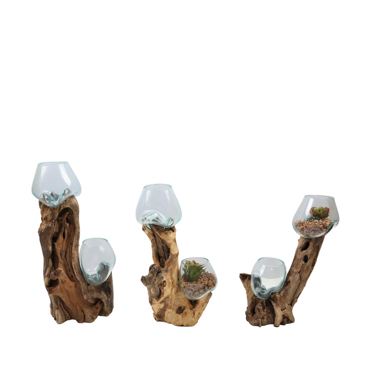 Double glass vase 15 cm on burl wood