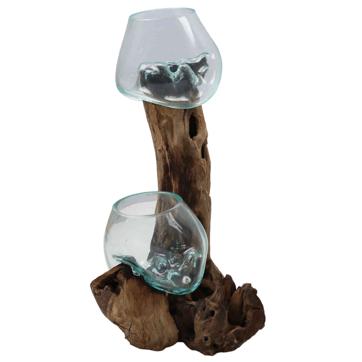 Double glass vase 15 cm on burl wood