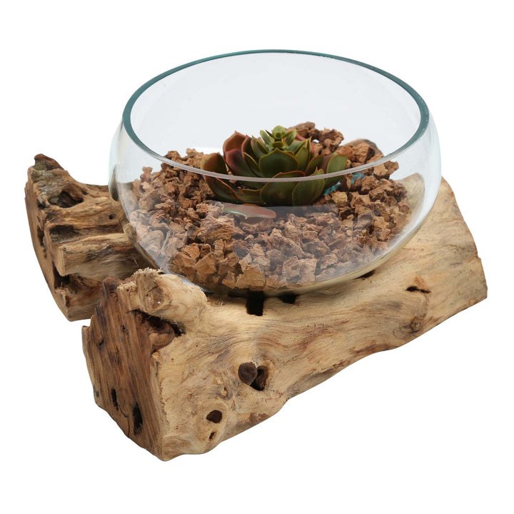 Glass bowl 20 cm on burl wood