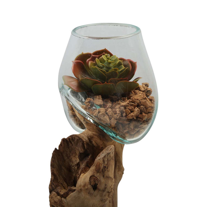 Double glass vase 12 cm on burl wood