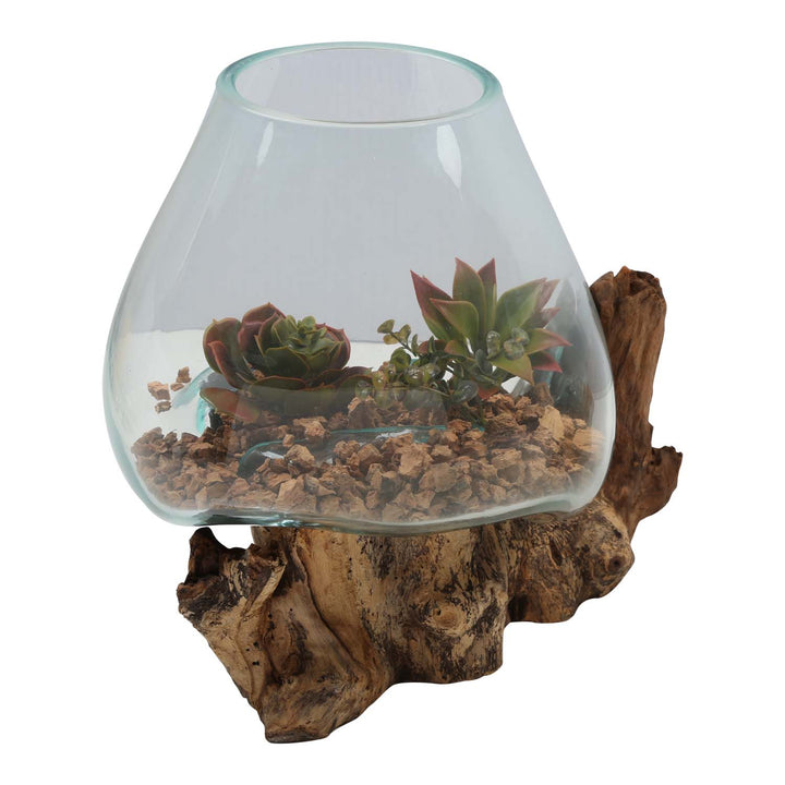Glass vase on burl wood A21