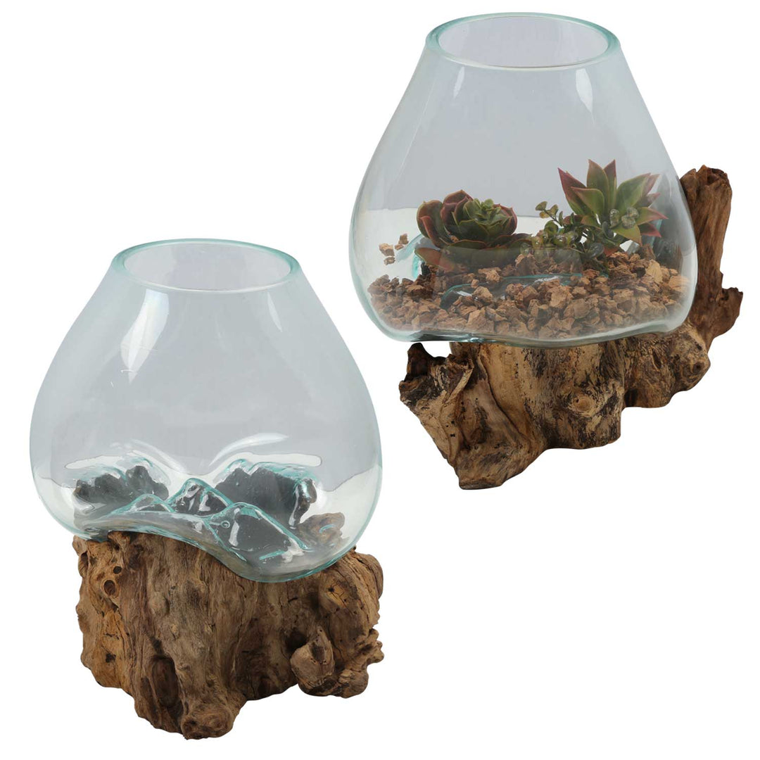 Glass vase on burl wood A21