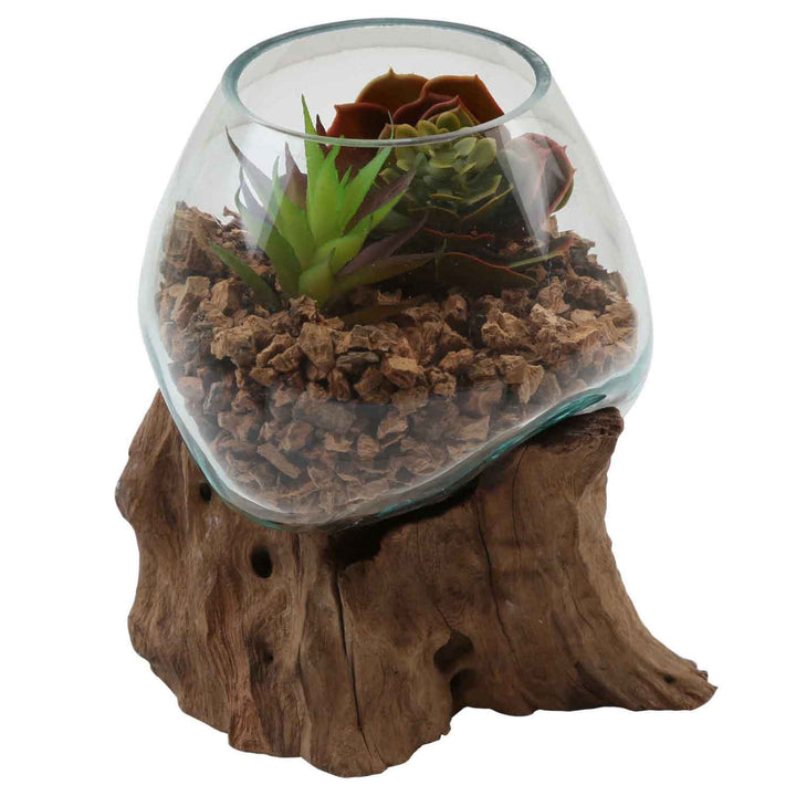 Glass vase on burl wood A15