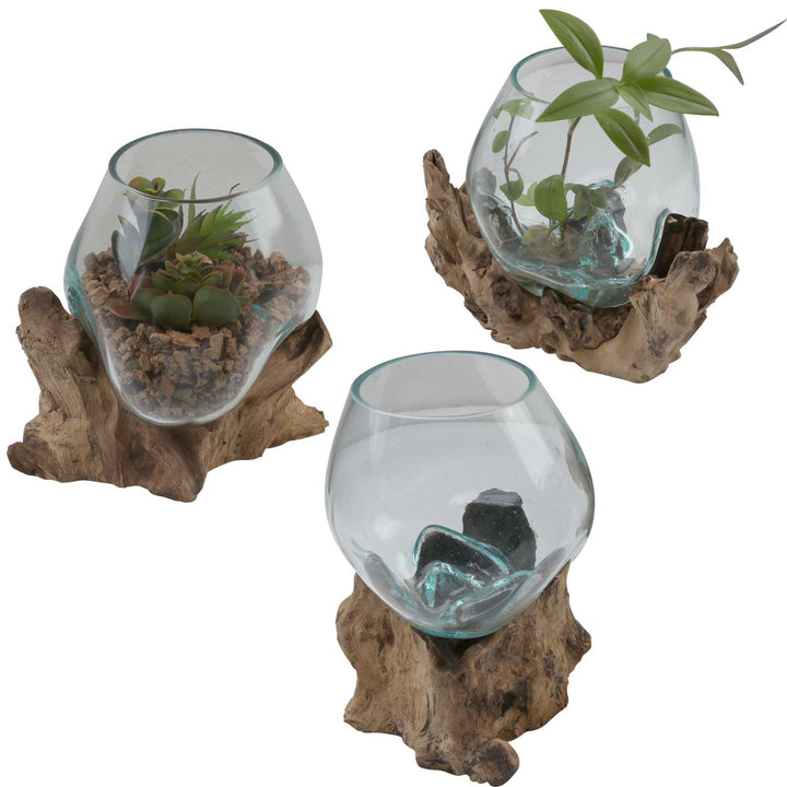 Glass vase on burl wood A18