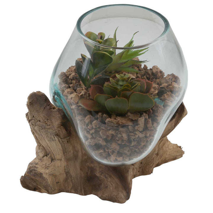 Glass vase on burl wood A18