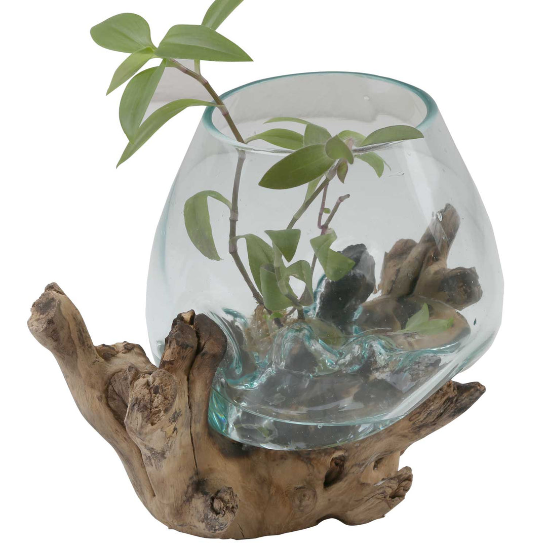 Glass vase on burl wood A18