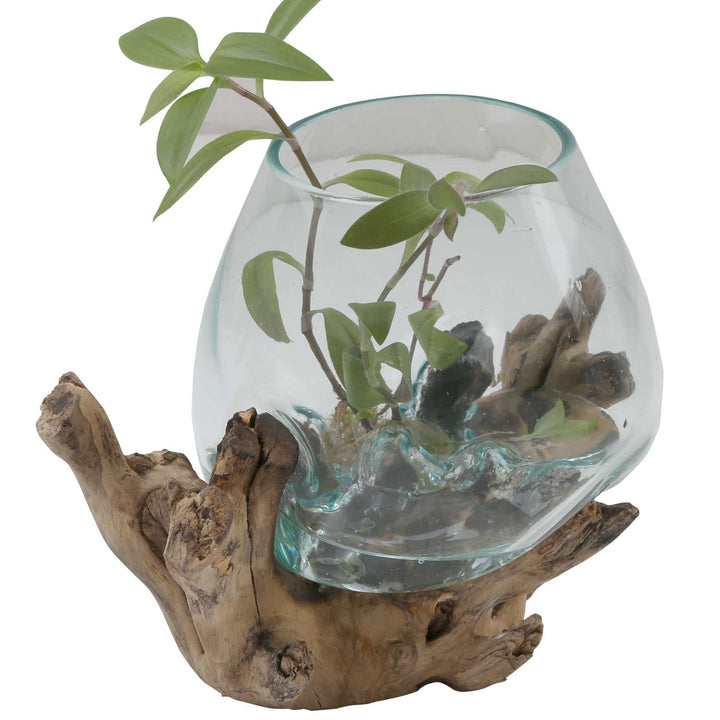 Glass vase on burl wood A18
