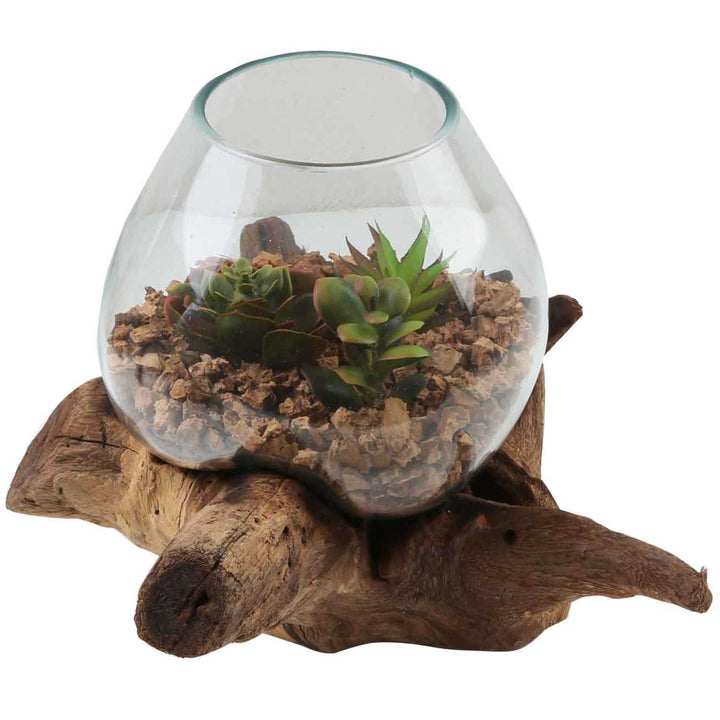 Glass vase on burl wood A20