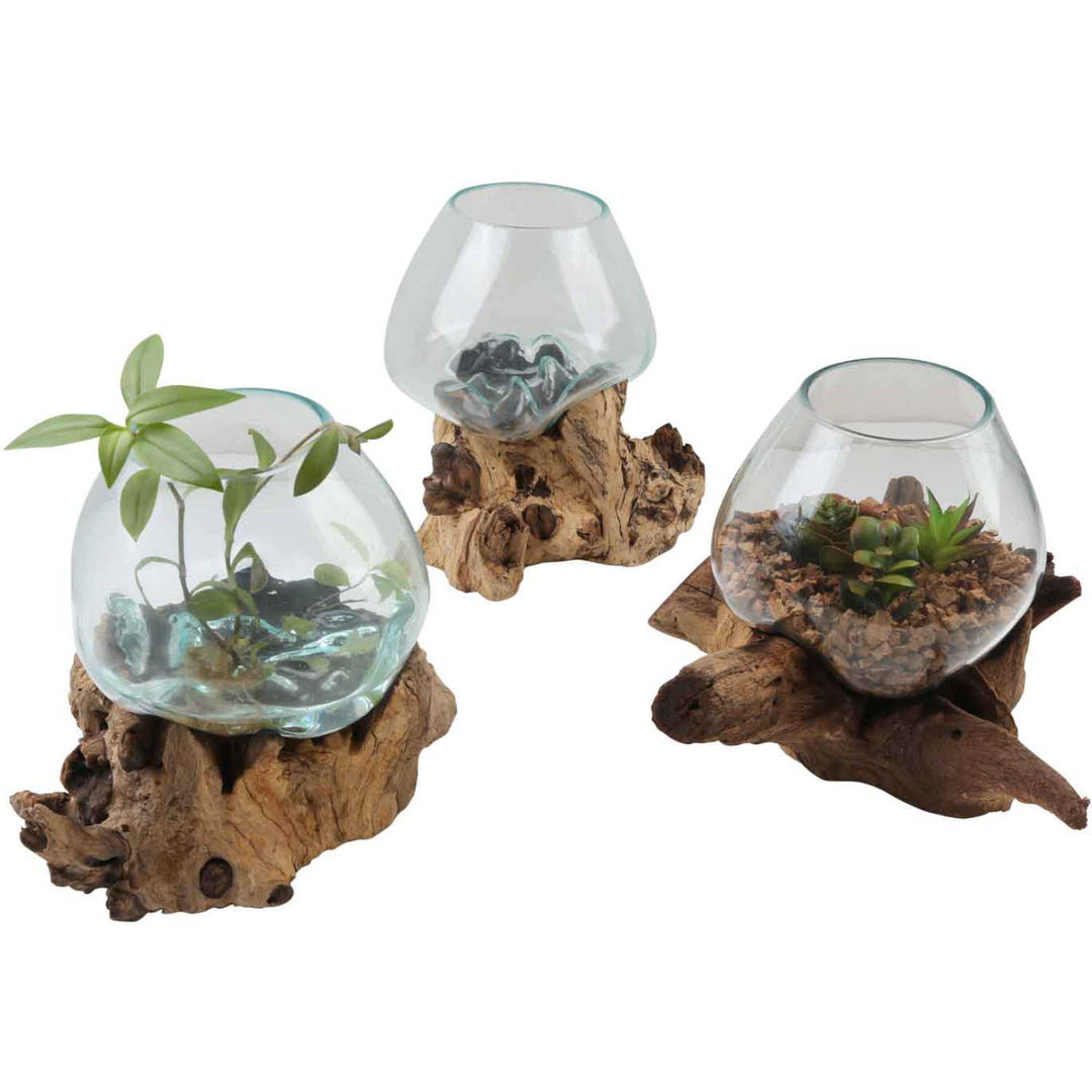 Glass vase on burl wood A20