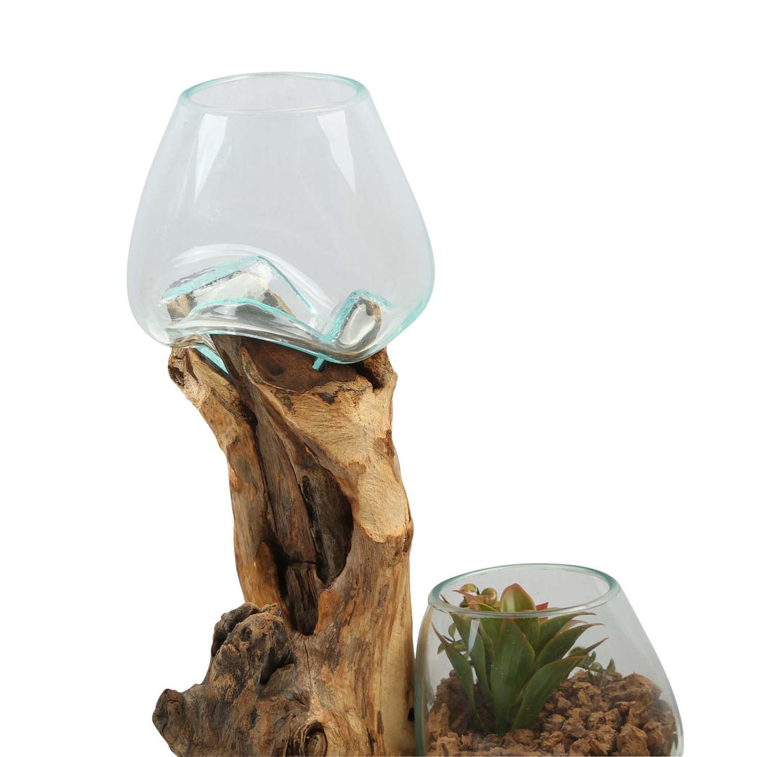 Double glass vase 15 cm on burl wood