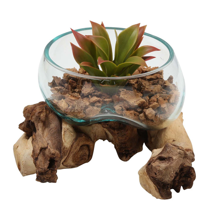 Glass bowl on burl wood