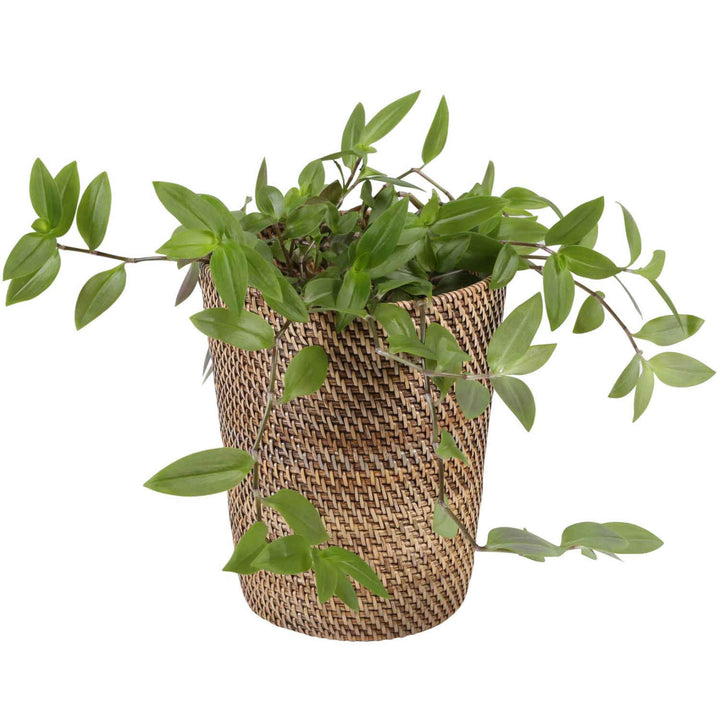Rattan wastebasket Nila Light Brown