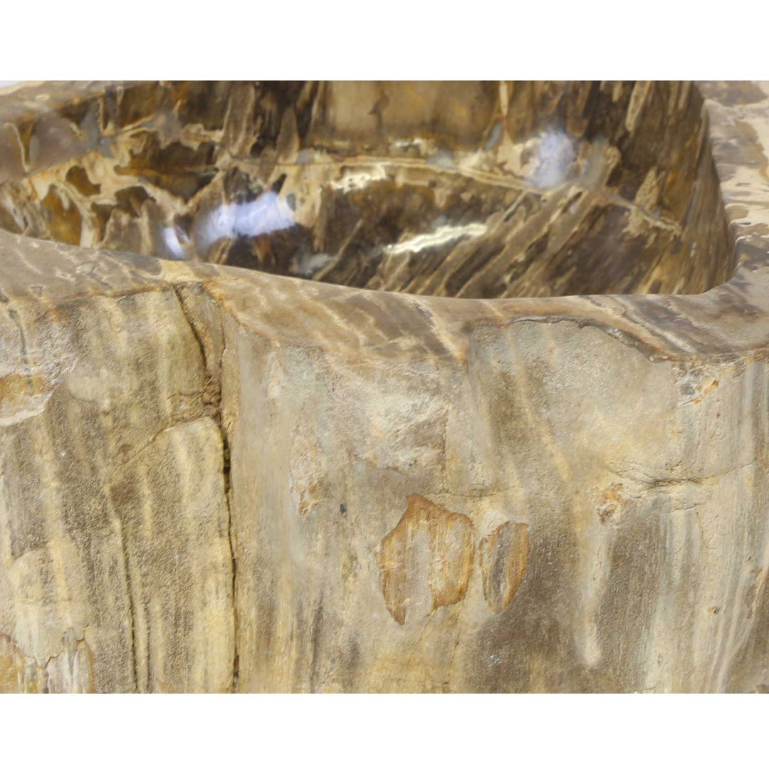 Fossilized wood washbasin Sina
