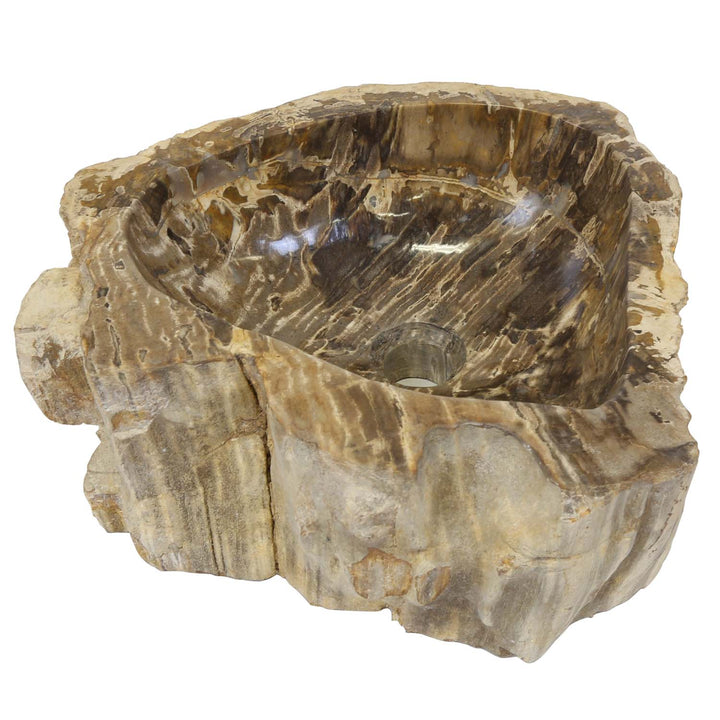 Fossilized wood washbasin Sina