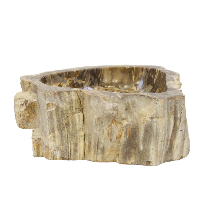 Fossilized wood washbasin Sina