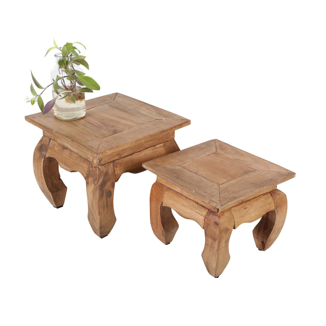 Oriental opium tables Nature Set of 2