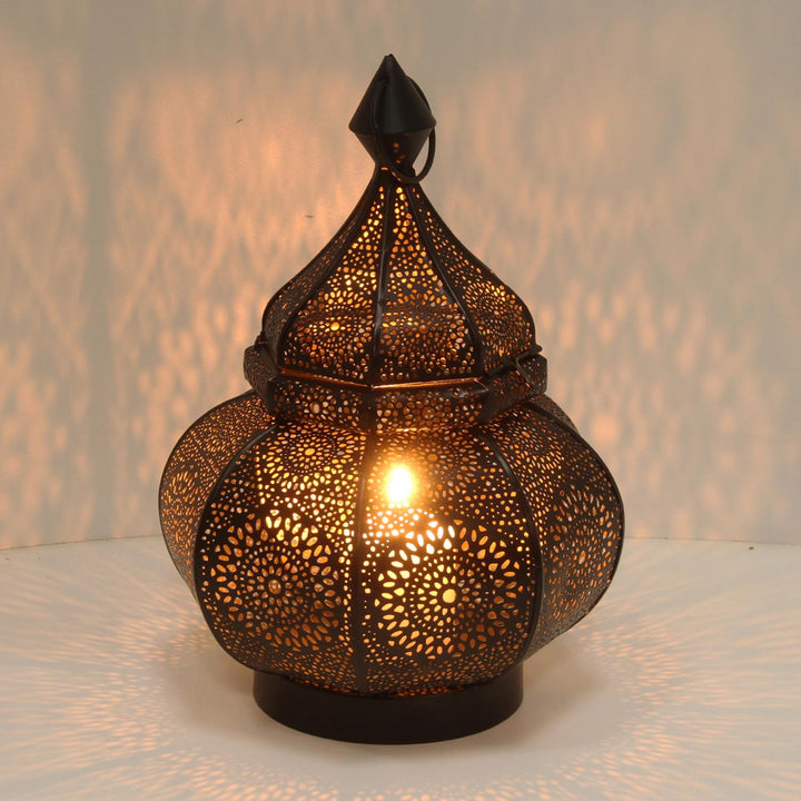Oriental lantern Abir