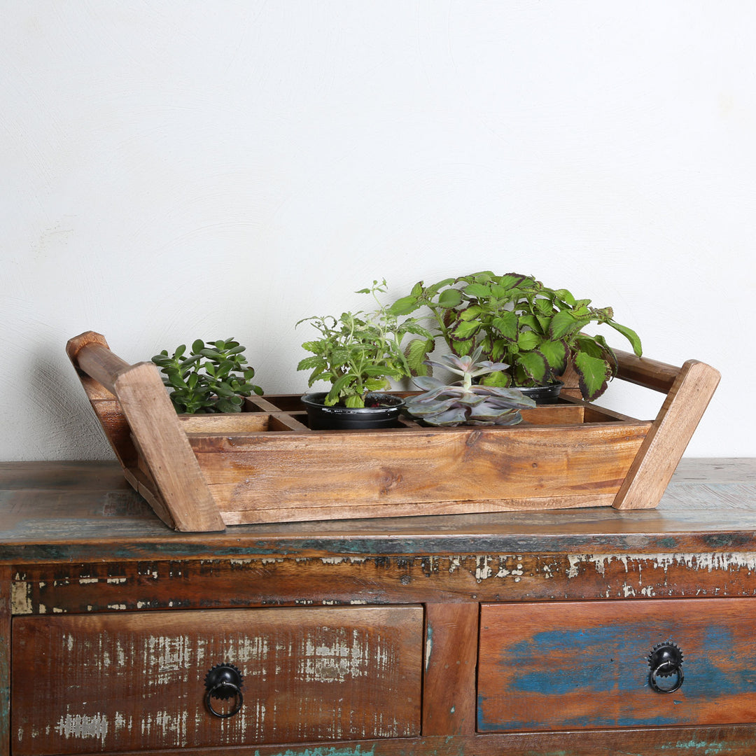 Gaia plant box
