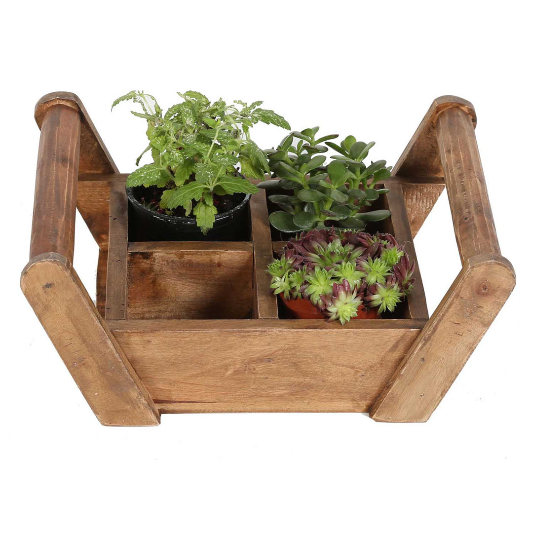 Adria plant box