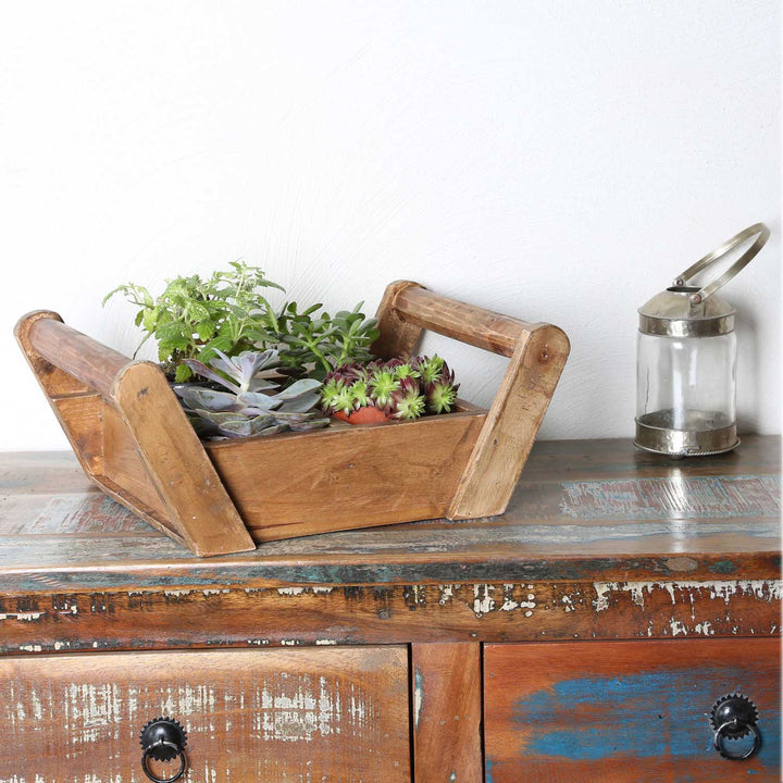 Adria plant box