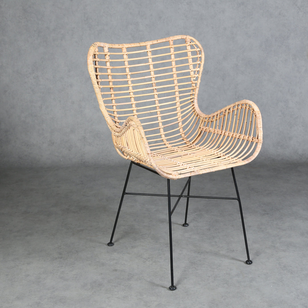 Monia rattan armchair