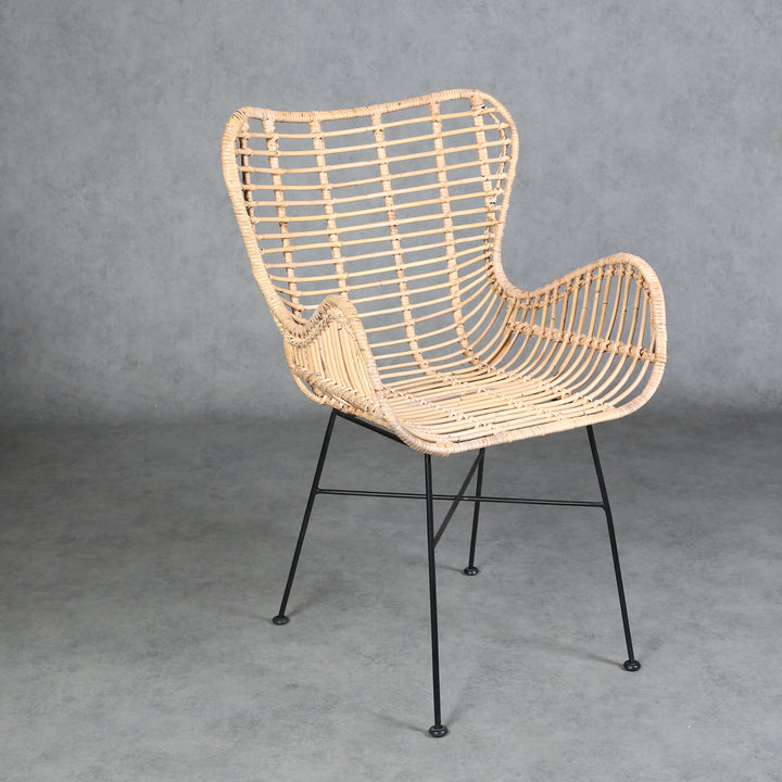 Monia rattan armchair