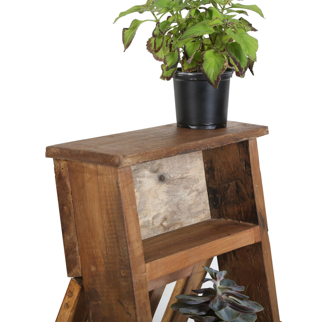 Asti plant shelf