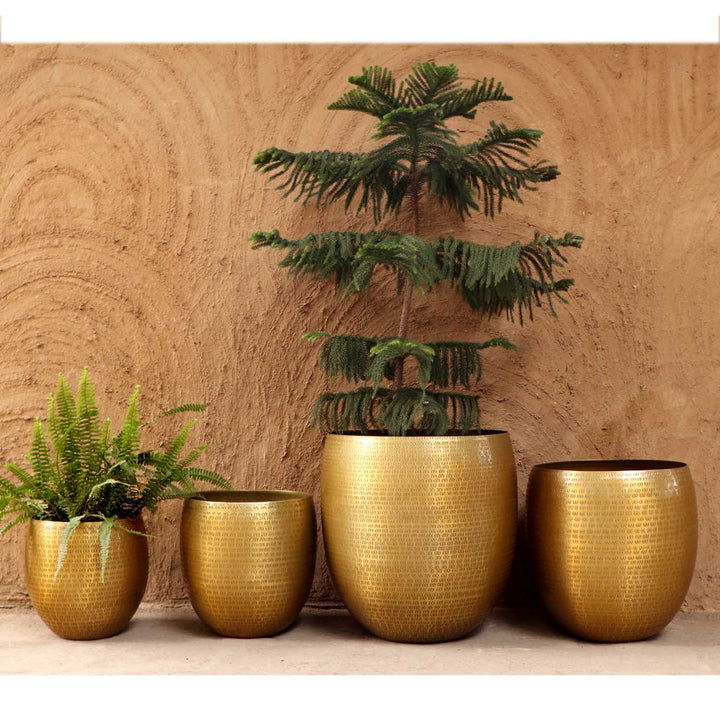 Oriental flower pot Vega