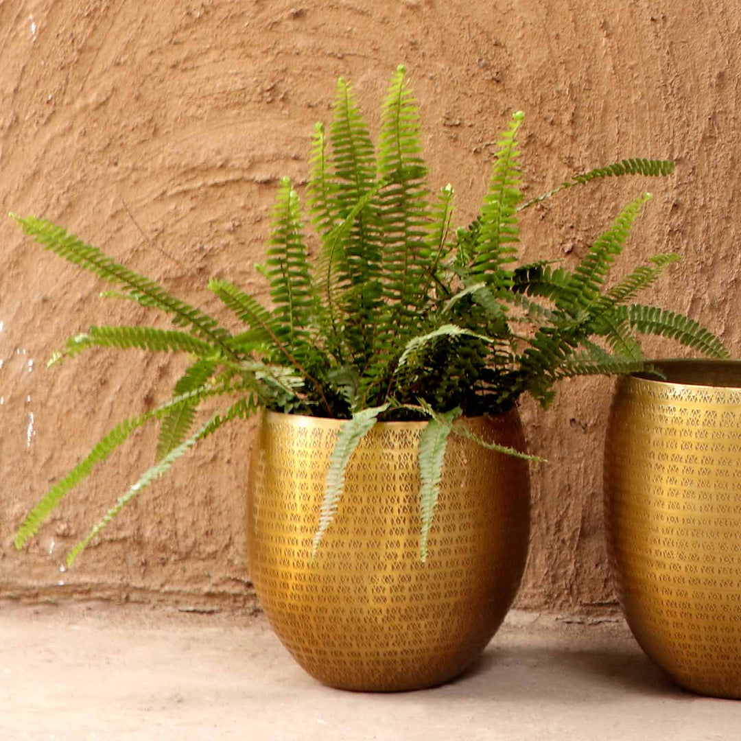 Oriental flower pot Vega